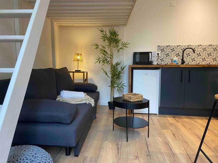 Charmant Studio Vierzon Esterno foto
